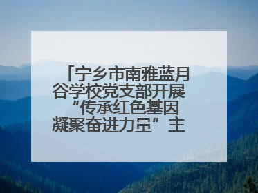 宁乡市南雅蓝月谷学校党支部开展“传承红色基因 凝聚奋进力量”主题党日活动