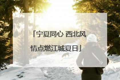 宁夏同心 西北风情点燃江城夏日