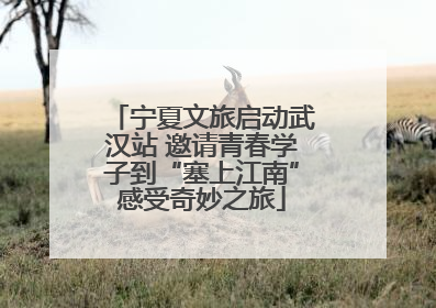宁夏文旅启动武汉站 邀请青春学子到“塞上江南”感受奇妙之旅