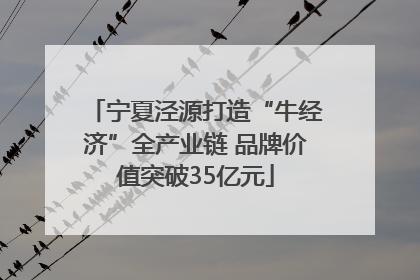宁夏泾源打造“牛经济”全产业链 品牌价值突破35亿元