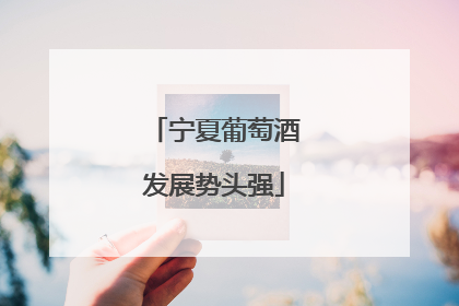 宁夏葡萄酒发展势头强