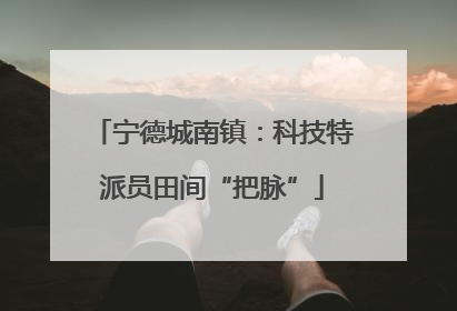 宁德城南镇：科技特派员田间“把脉”