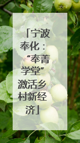 宁波奉化：“奉菁学堂”激活乡村新经济