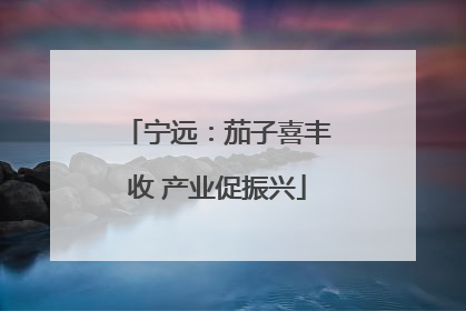 宁远：茄子喜丰收 产业促振兴