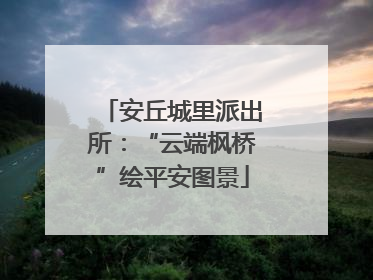 安丘城里派出所：“云端枫桥”绘平安图景