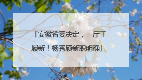 安徽省委决定，一厅干履新！杨秀颀新职明确
