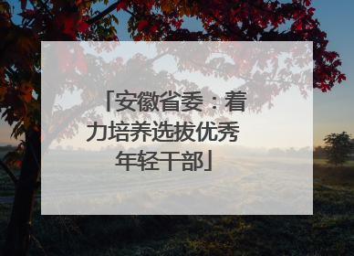 安徽省委：着力培养选拔优秀年轻干部