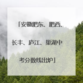 安徽肥东、肥西、长丰、庐江、巢湖中考分数线出炉