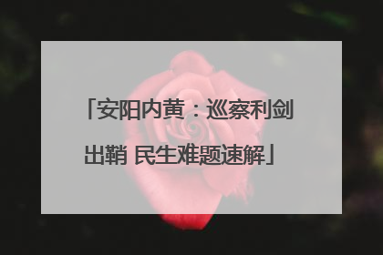 安阳内黄：巡察利剑出鞘 民生难题速解