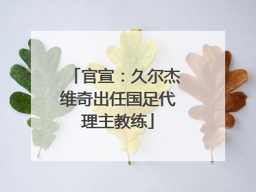 官宣：久尔杰维奇出任国足代理主教练