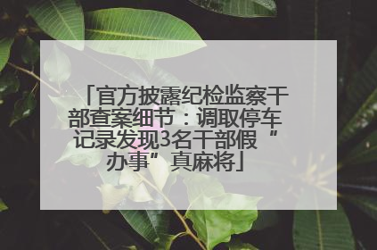 官方披露纪检监察干部查案细节：调取停车记录发现3名干部假“办事”真麻将