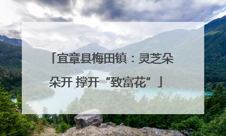 宜章县梅田镇：灵芝朵朵开 撑开“致富花”