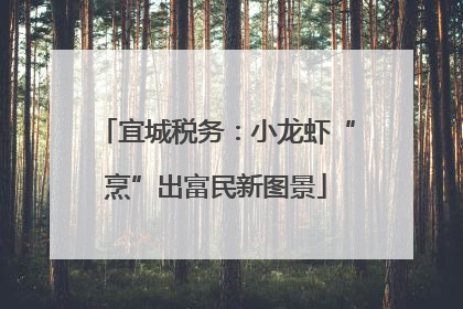 宜城税务：小龙虾“烹”出富民新图景