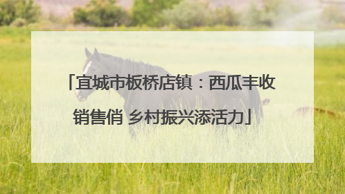 宜城市板桥店镇：西瓜丰收销售俏 乡村振兴添活力