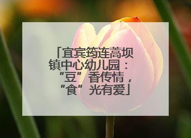 宜宾筠连蒿坝镇中心幼儿园：“豆”香传情，“食”光有爱
