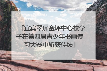 宜宾翠屏金坪中心校学子在第四届青少年书画传习大赛中斩获佳绩