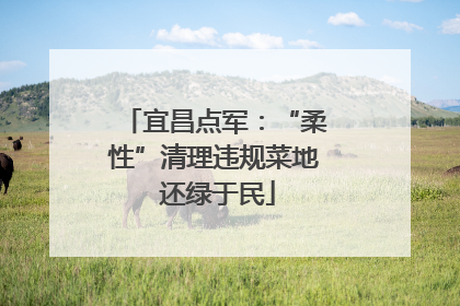 宜昌点军：“柔性”清理违规菜地 还绿于民
