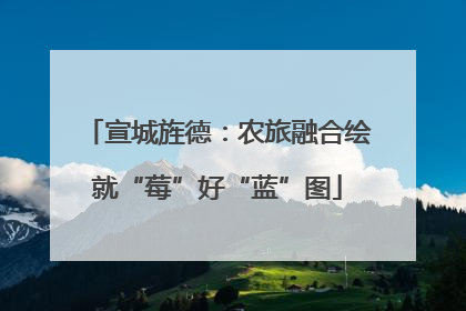 宣城旌德：农旅融合绘就“莓”好“蓝”图