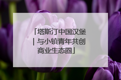 塔斯汀中国汉堡｜与小镇青年共创商业生态圈