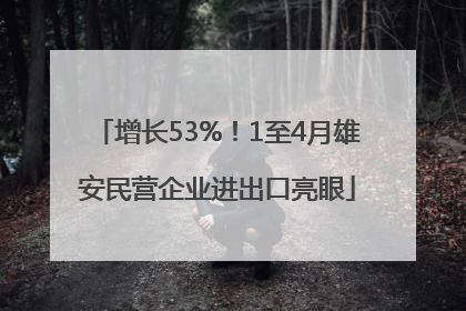 增长53%！1至4月雄安民营企业进出口亮眼