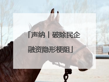 声纳丨破除民企融资隐形梗阻