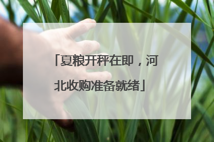 夏粮开秤在即，河北收购准备就绪