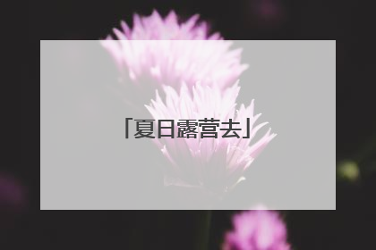 夏日露营去