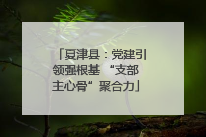 夏津县：党建引领强根基 “支部主心骨”聚合力