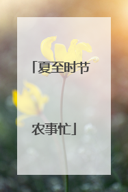 夏至时节农事忙