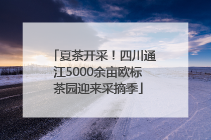夏茶开采！四川通江5000余亩欧标茶园迎来采摘季