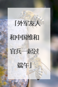 外军友人和中国维和官兵一起过端午