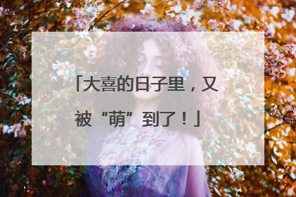 大喜的日子里，又被“萌”到了！