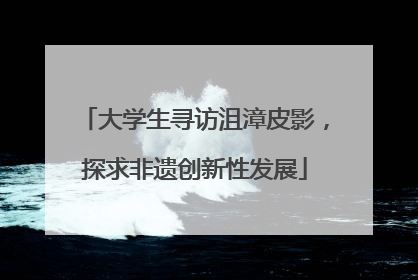 大学生寻访沮漳皮影，探求非遗创新性发展