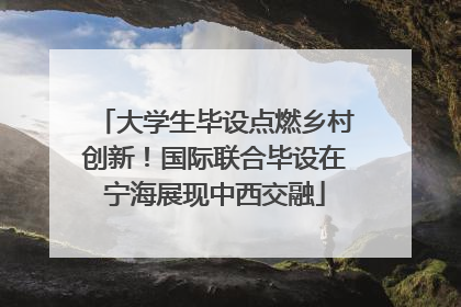大学生毕设点燃乡村创新！国际联合毕设在宁海展现中西交融