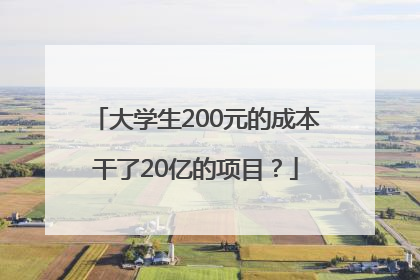 大学生200元的成本干了20亿的项目？