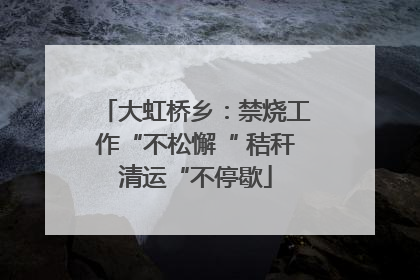 大虹桥乡：禁烧工作“不松懈“ 秸秆清运“不停歇