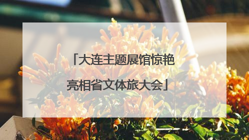 大连主题展馆惊艳亮相省文体旅大会