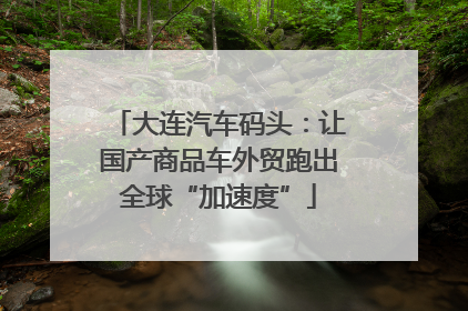 大连汽车码头：让国产商品车外贸跑出全球“加速度”