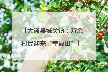 大通县城关镇：万余村民迎来“幸福田”