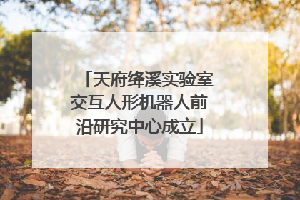 天府绛溪实验室交互人形机器人前沿研究中心成立