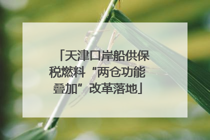 天津口岸船供保税燃料“两仓功能叠加”改革落地