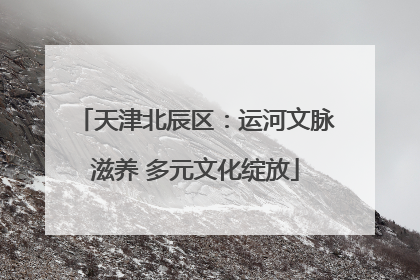 天津北辰区：运河文脉滋养 多元文化绽放