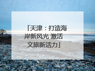 天津：打造海岸新风光 激活文旅新活力