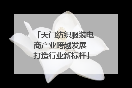 天门纺织服装电商产业跨越发展 打造行业新标杆