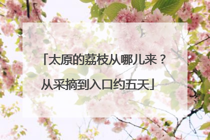 太原的荔枝从哪儿来？从采摘到入口约五天