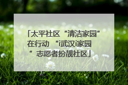 太平社区“清洁家园”在行动 “i武汉i家园”志愿者扮靓社区