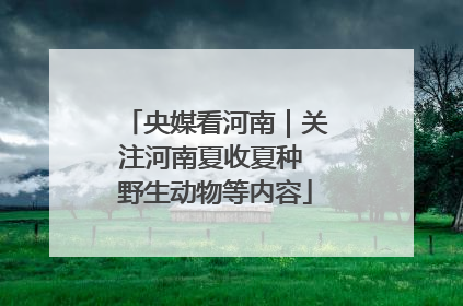 央媒看河南｜关注河南夏收夏种 野生动物等内容
