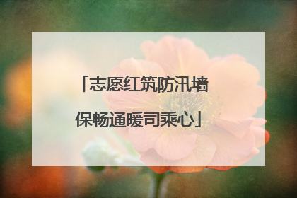 志愿红筑防汛墙 保畅通暖司乘心