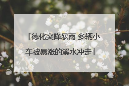 德化突降暴雨 多辆小车被暴涨的溪水冲走