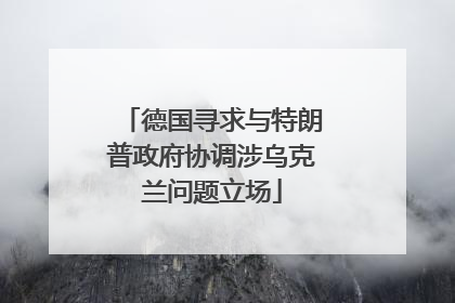 德国寻求与特朗普政府协调涉乌克兰问题立场